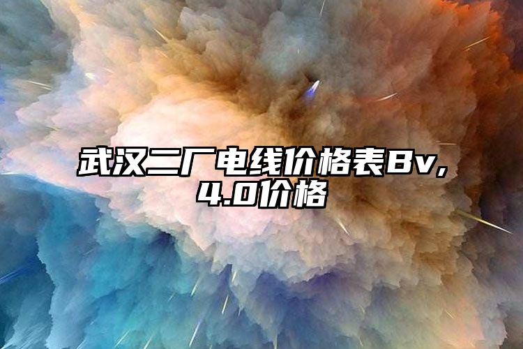 武汉二厂电线价格表Bv,4.0价格